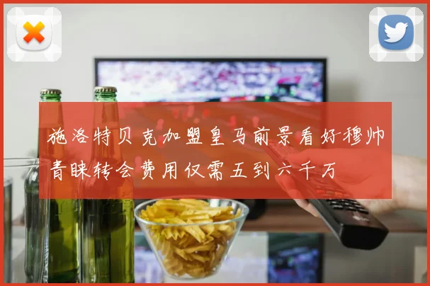 施洛特贝克加盟皇马前景看好穆帅青睐转会费用仅需五到六千万